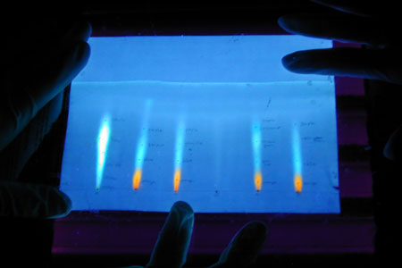 Chromatography