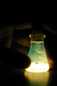 Chemiluminescence