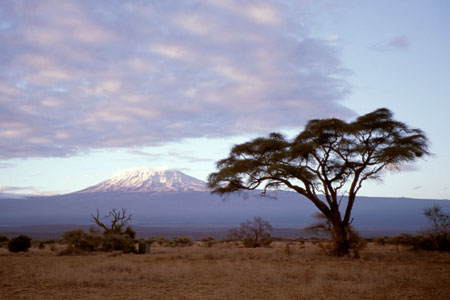 Mt. Kilimanjaro